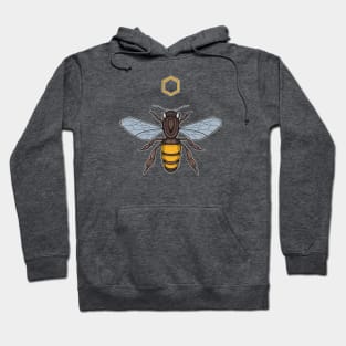 honeybee with honeycomb Hoodie